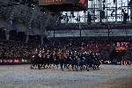 Cavalry - 00161